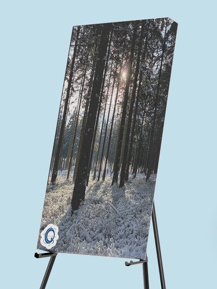 Merch Canvas Print