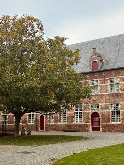 old building with tree next to it