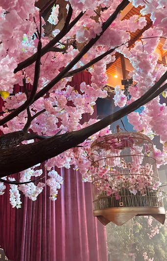 caged blossom with magical vibe
