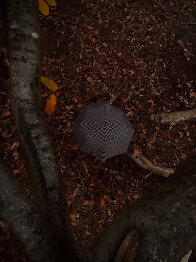 top view of umbrella in forest